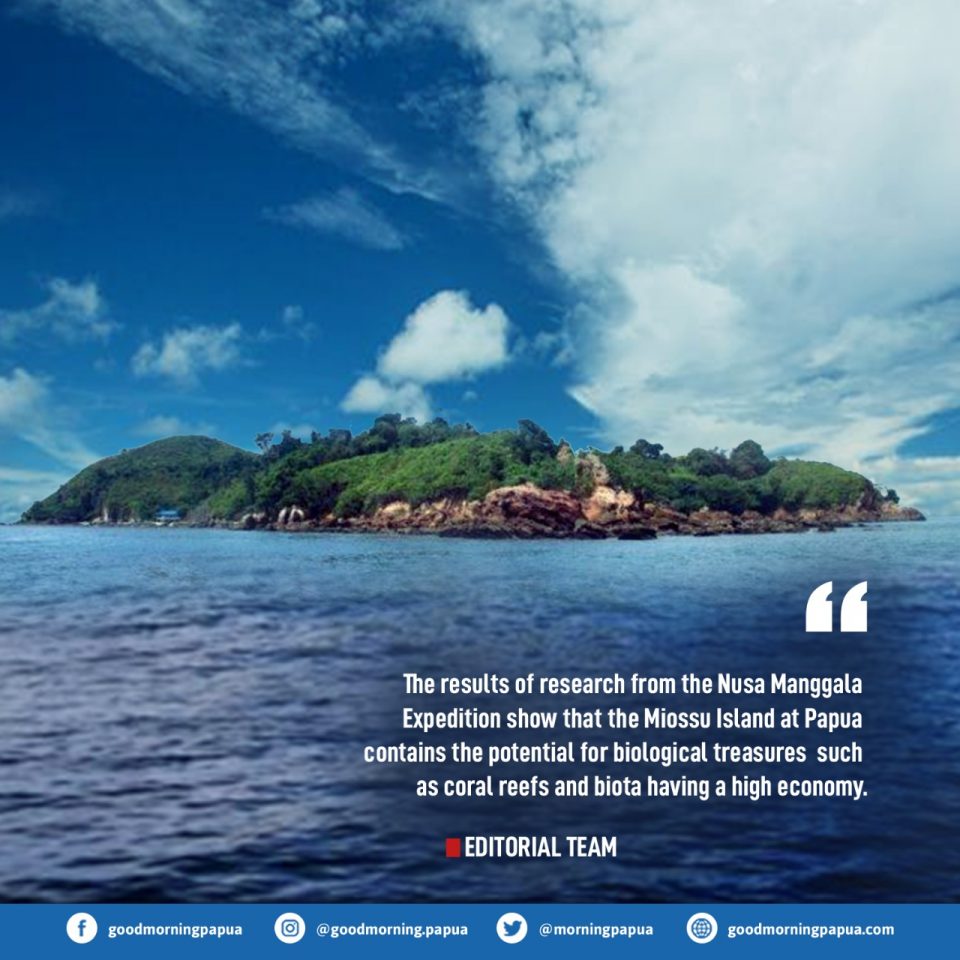 The potential of Miossu Island of Papua, a Habitat of Napoleon Fish up to Incredible Coral Reefs